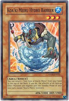 Buy Koa'ki Meiru Hydro Barrier in New Zealand. 